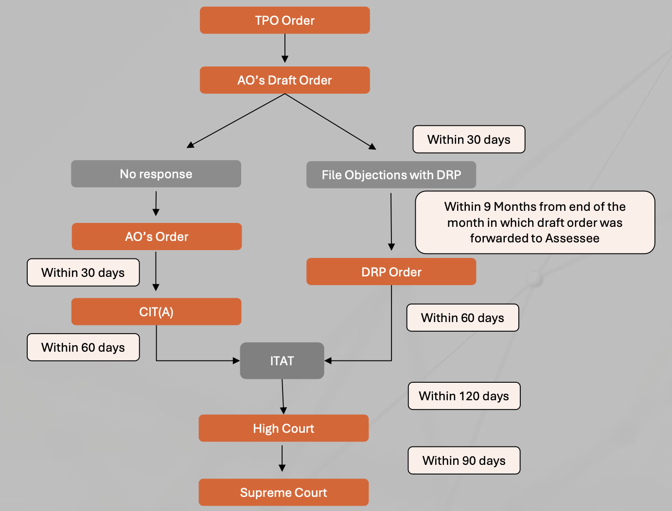 Domestic Litigation Cycle